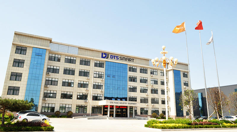 About Shandong DTS Digital Intelligence Technology Co., Ltd. (DTS SMART)
